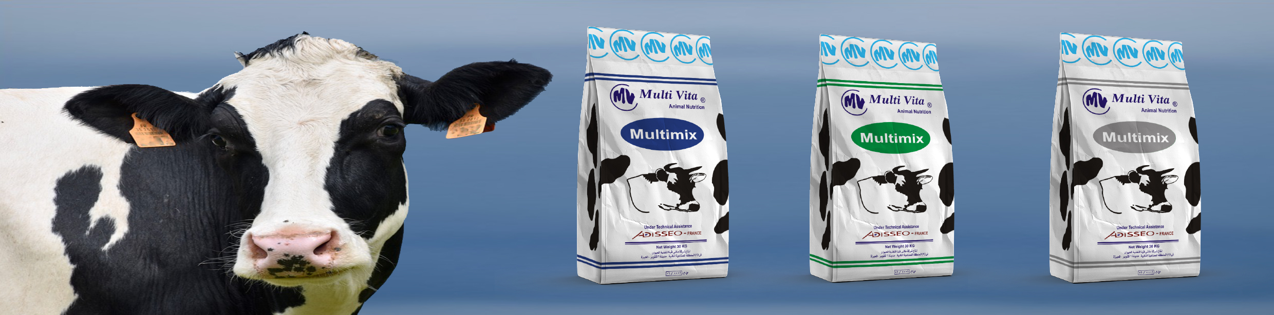 Multimix Dairy